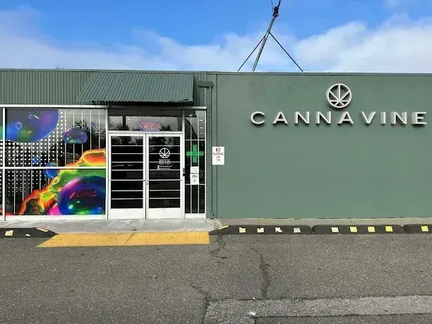 Cannavine dispensary exterior with green wall and colorful window art