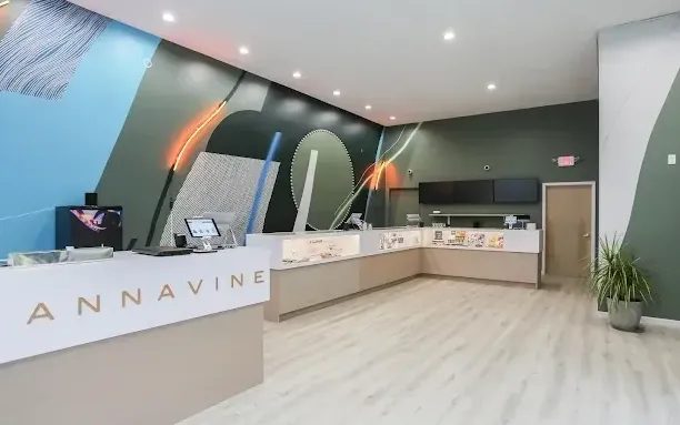 Cannavine dispensary interior with modern counter and colorful wall mural